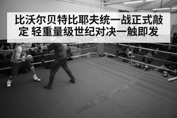 比沃尔贝特比耶夫统一战正式敲定 轻重量级世纪对决一触即发