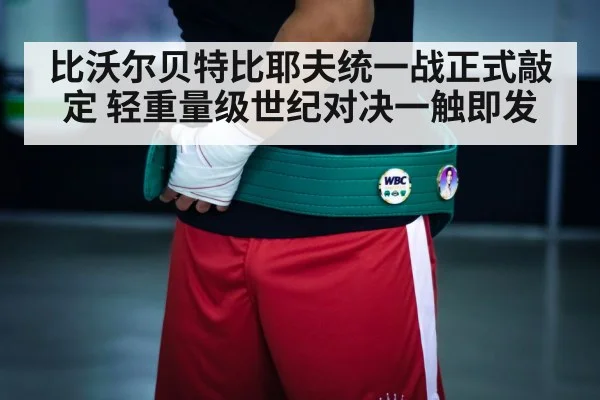 boxing champion belt