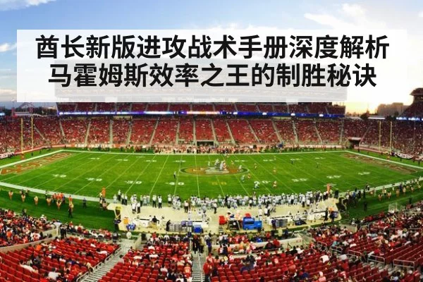 NFL stadium action