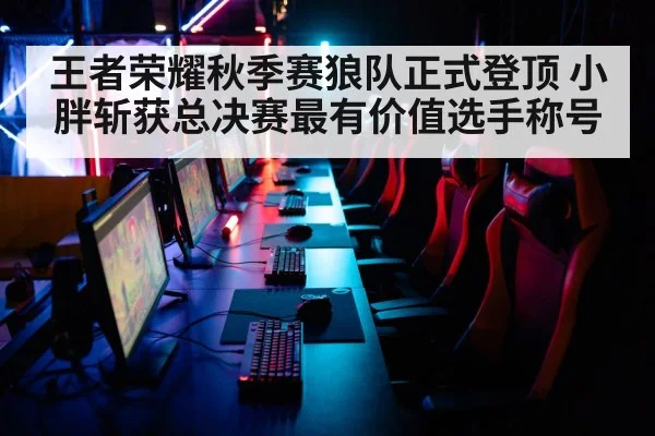 王者荣耀秋季赛狼队正式登顶 小胖斩获总决赛最有价值选手称号